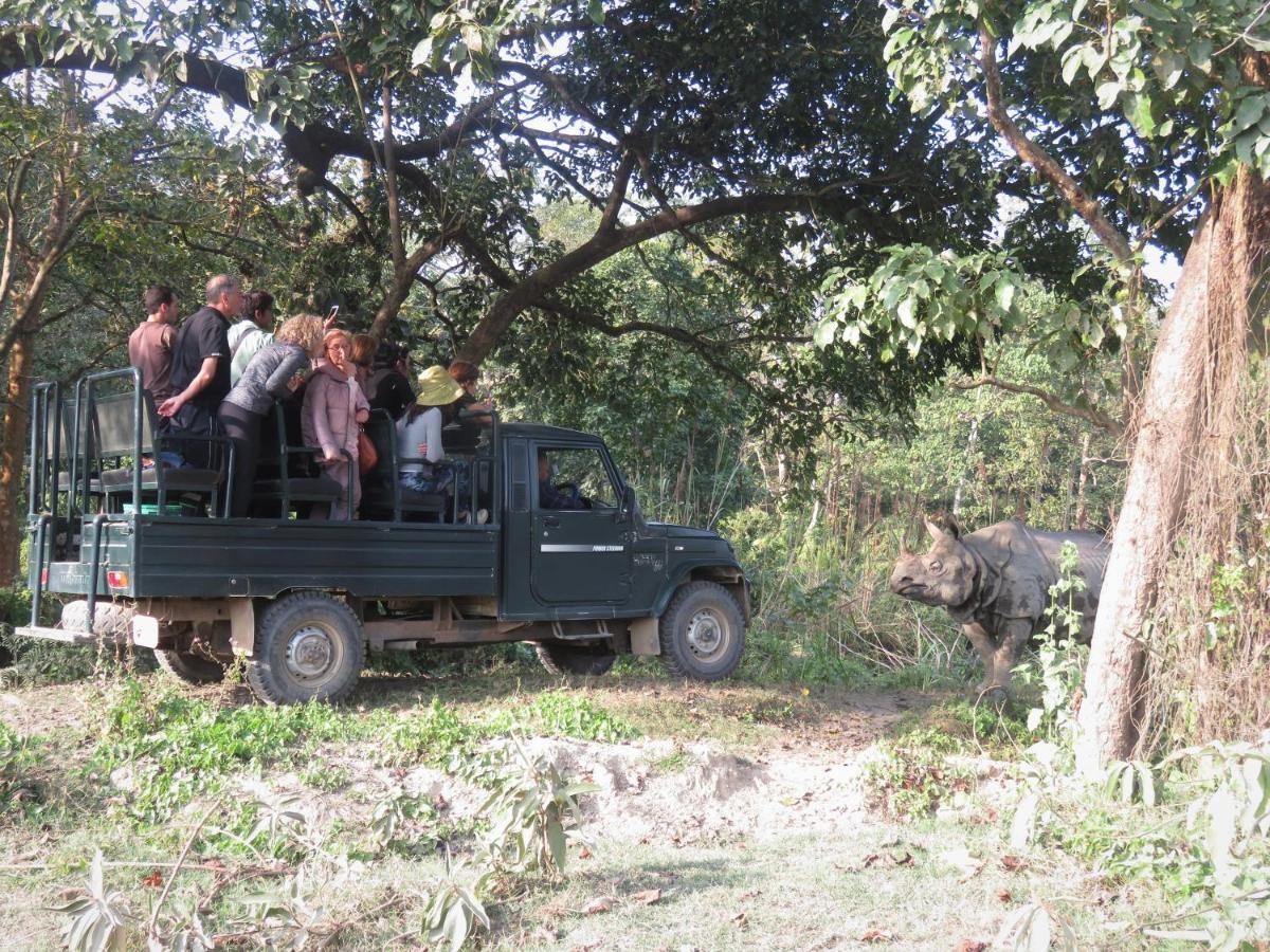 Eden Jungle Resort Sauraha Kültér fotó