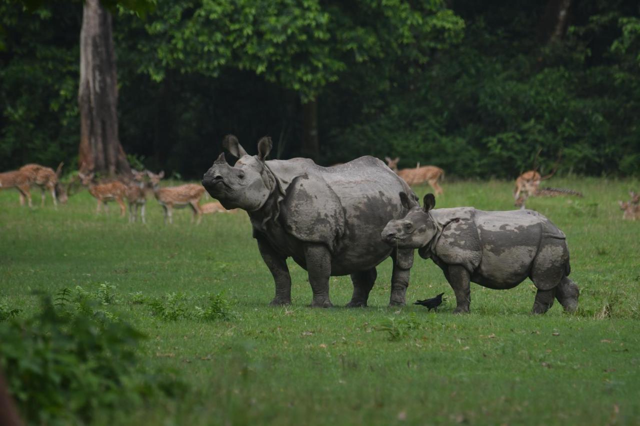 Eden Jungle Resort Sauraha Kültér fotó