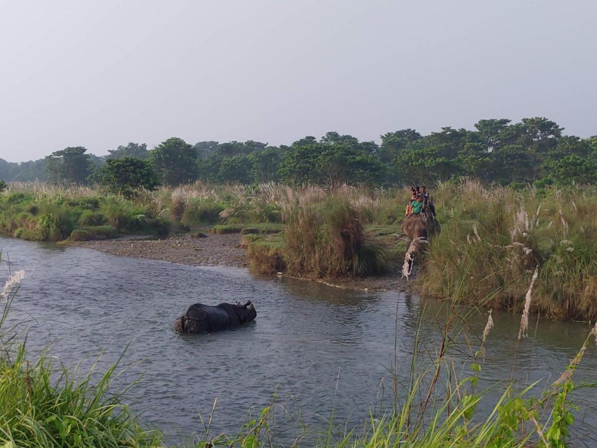 Eden Jungle Resort Sauraha Kültér fotó