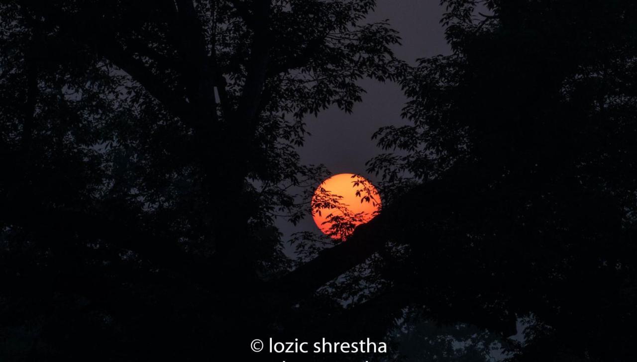 Eden Jungle Resort Sauraha Kültér fotó