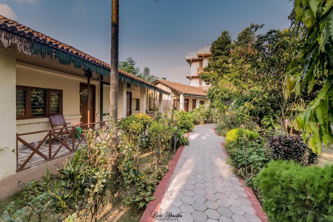Eden Jungle Resort Sauraha Kültér fotó