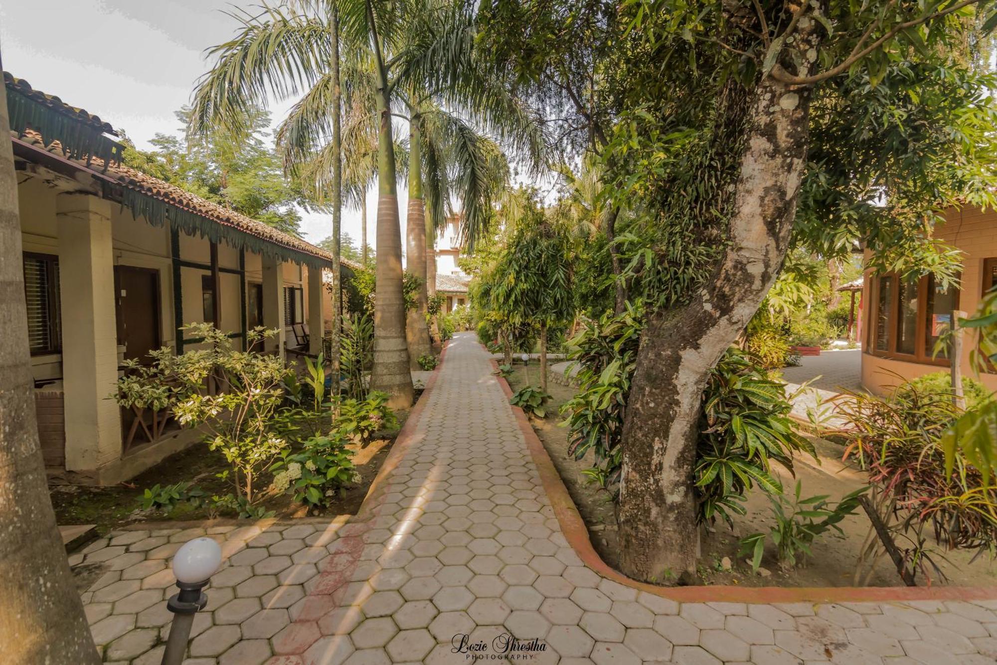 Eden Jungle Resort Sauraha Kültér fotó