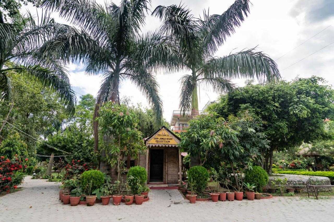 Eden Jungle Resort Sauraha Kültér fotó