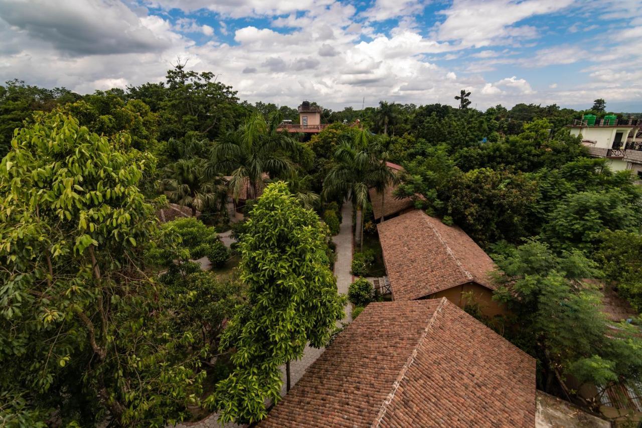 Eden Jungle Resort Sauraha Kültér fotó