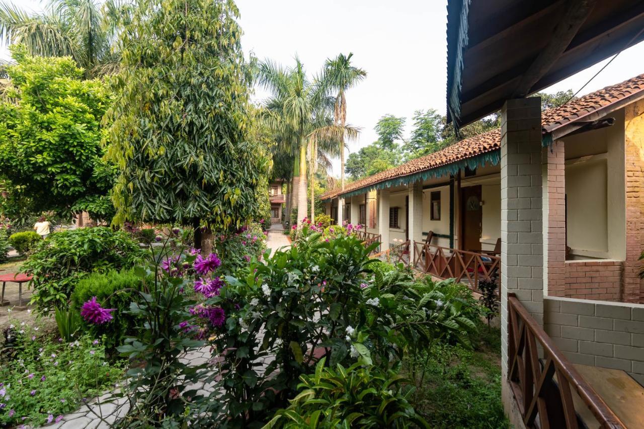 Eden Jungle Resort Sauraha Kültér fotó