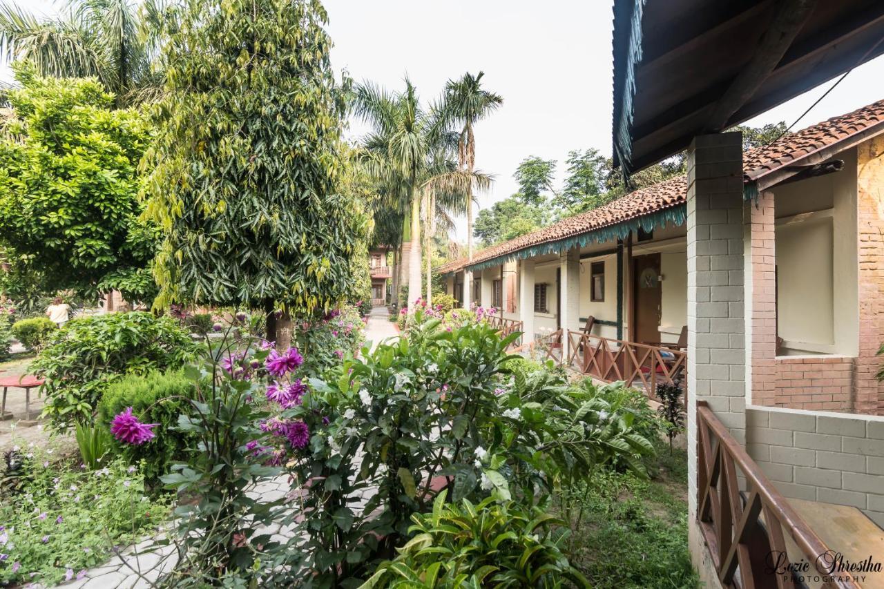 Eden Jungle Resort Sauraha Kültér fotó